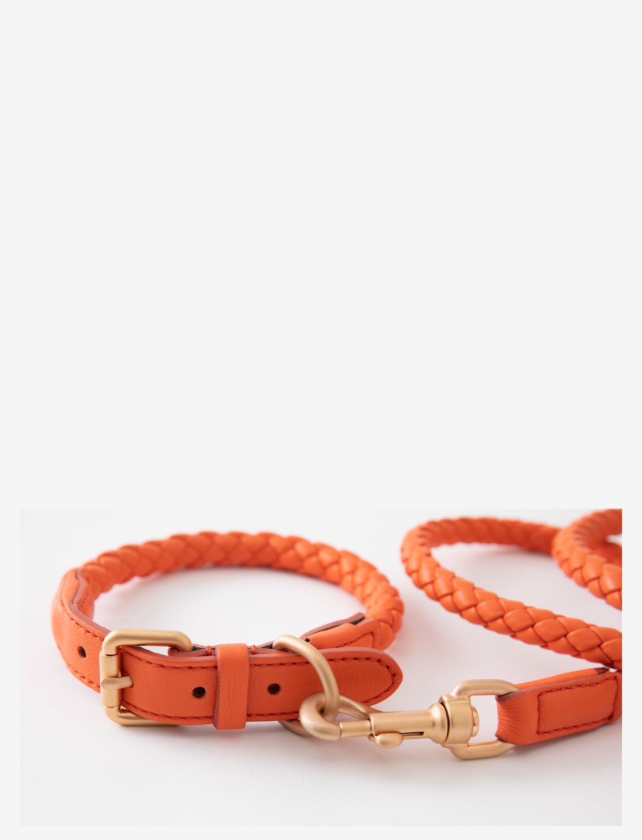 2.8 Design for Dogs - FERDINANDO COLLAR - mājai - tangerine orange - 1