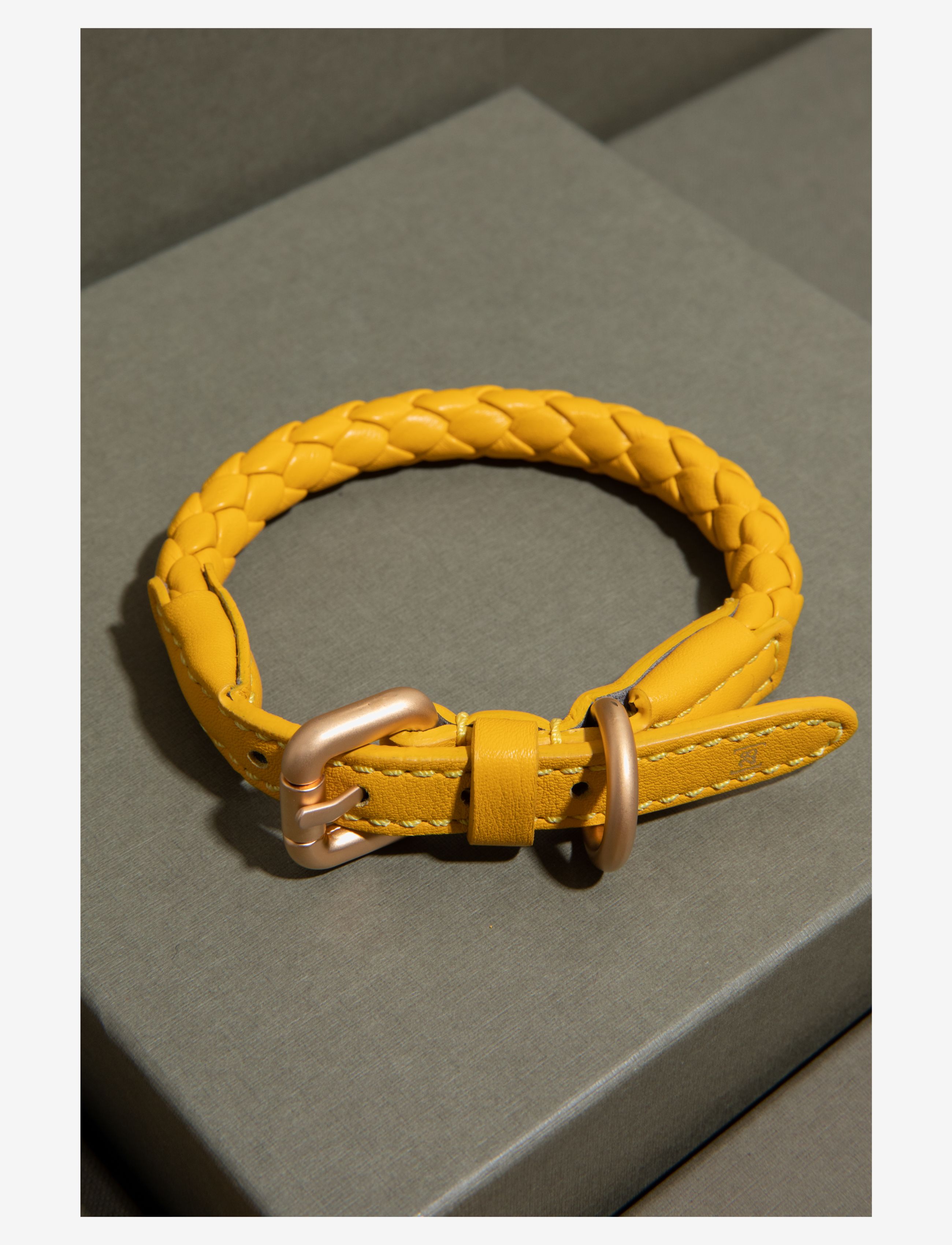 2.8 Design for Dogs FERDINANDO COLLAR - Julegave - TUSCAN YELLOW / yellow