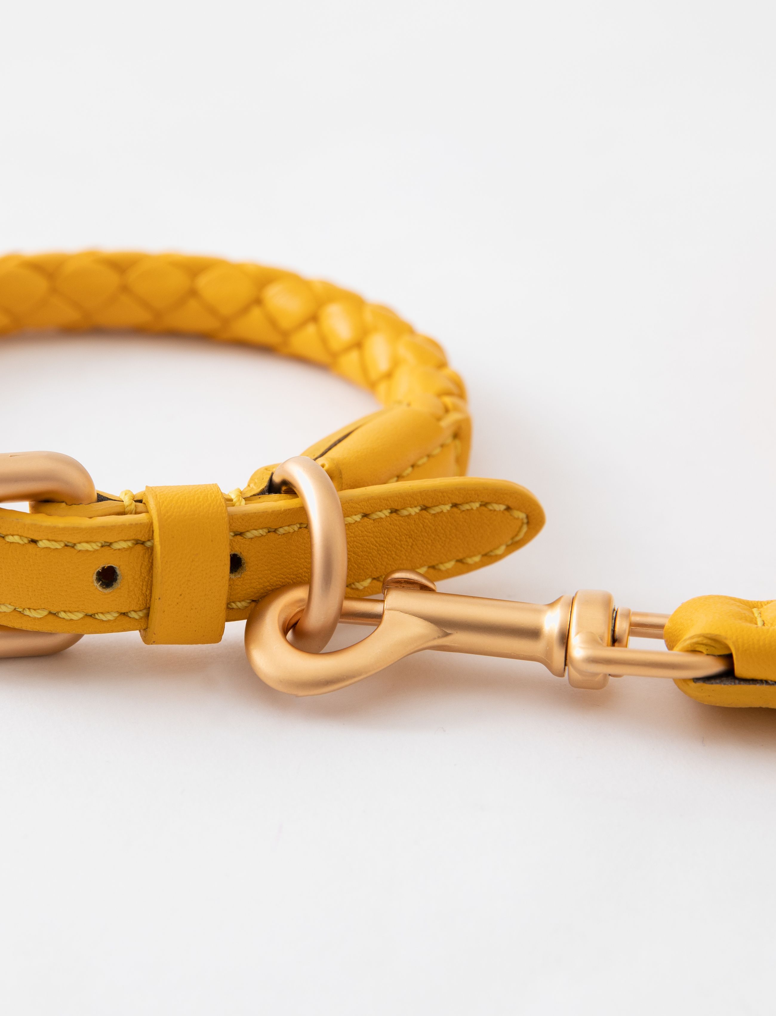 2.8 Design for Dogs - FERDINANDO COLLAR - für die haustiere - tuscan yellow - 1