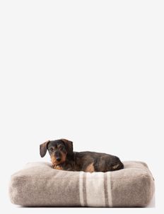 ELLIOTT RECYCLED WOOL, 2.8 Design for Dogs