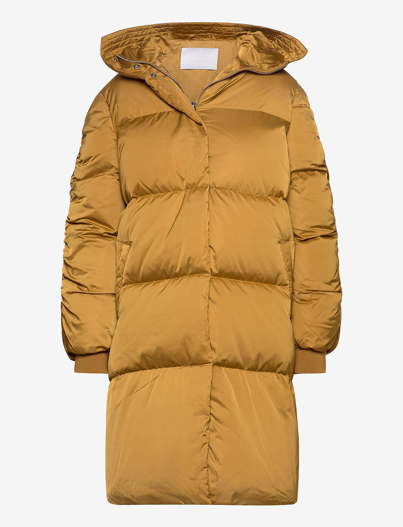 2NDDAY - 2ND Puff - wood thrush - 0