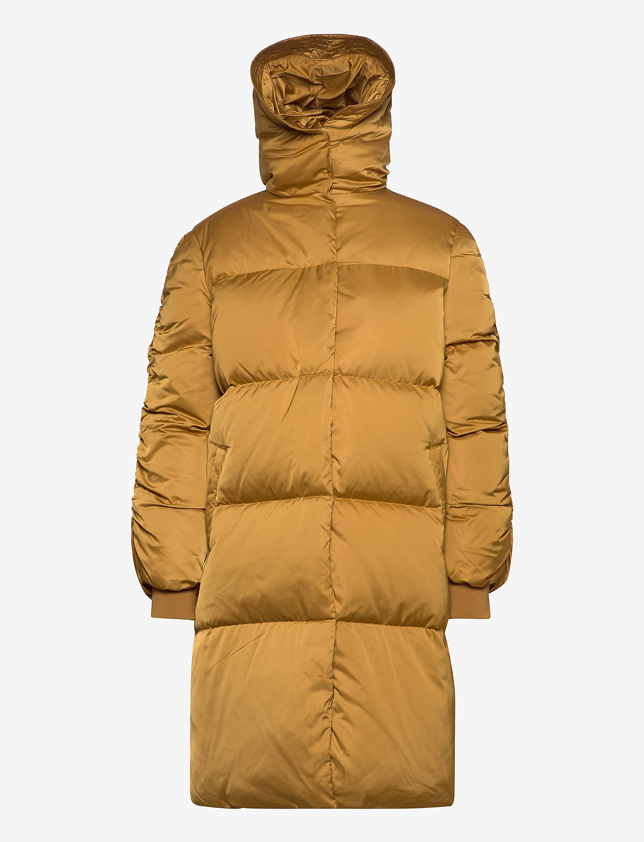 2NDDAY - 2ND Puff - wood thrush - 1