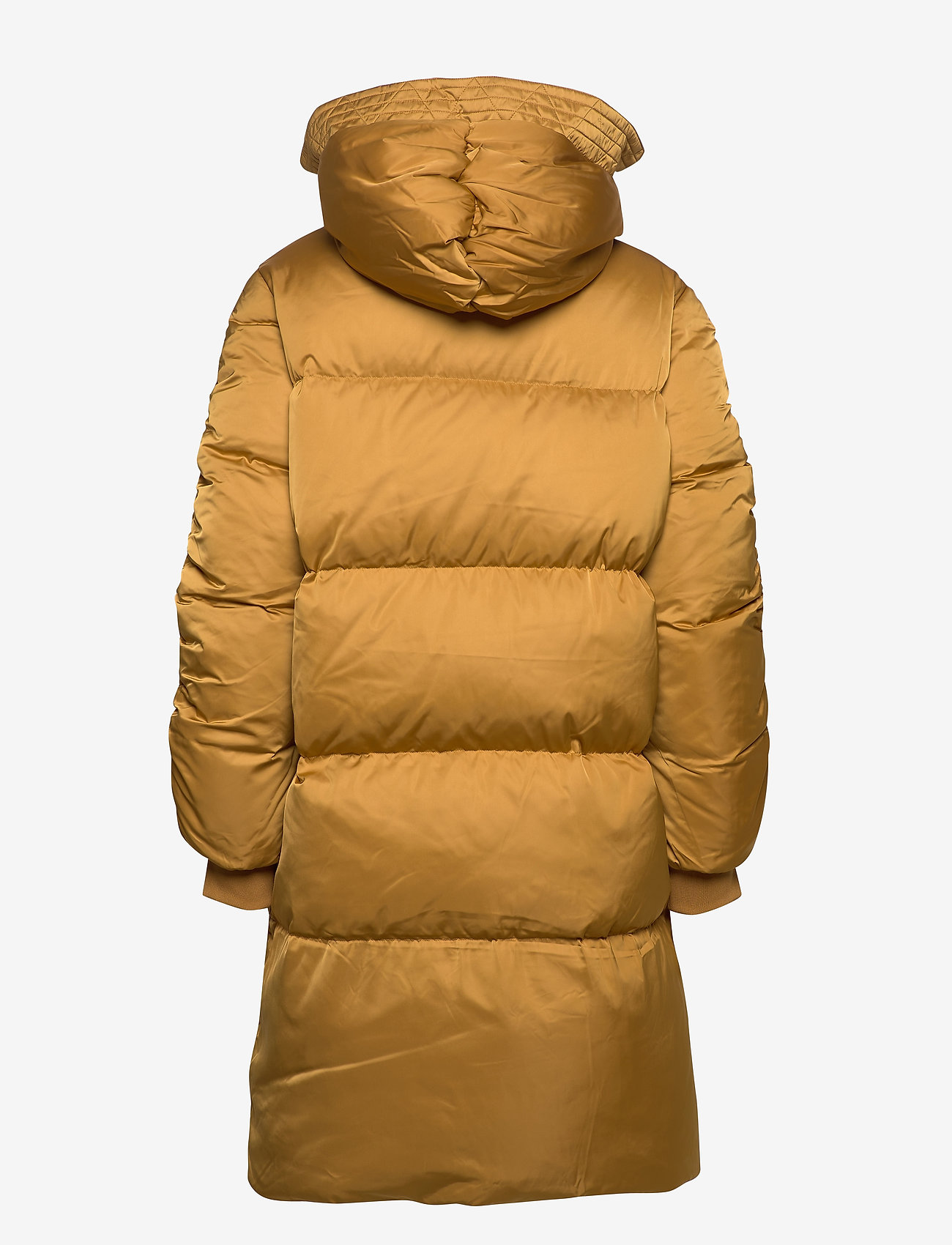 2NDDAY - 2ND Puff - wood thrush - 2