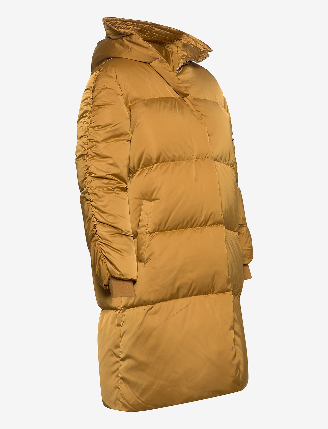 2NDDAY - 2ND Puff - wood thrush - 3