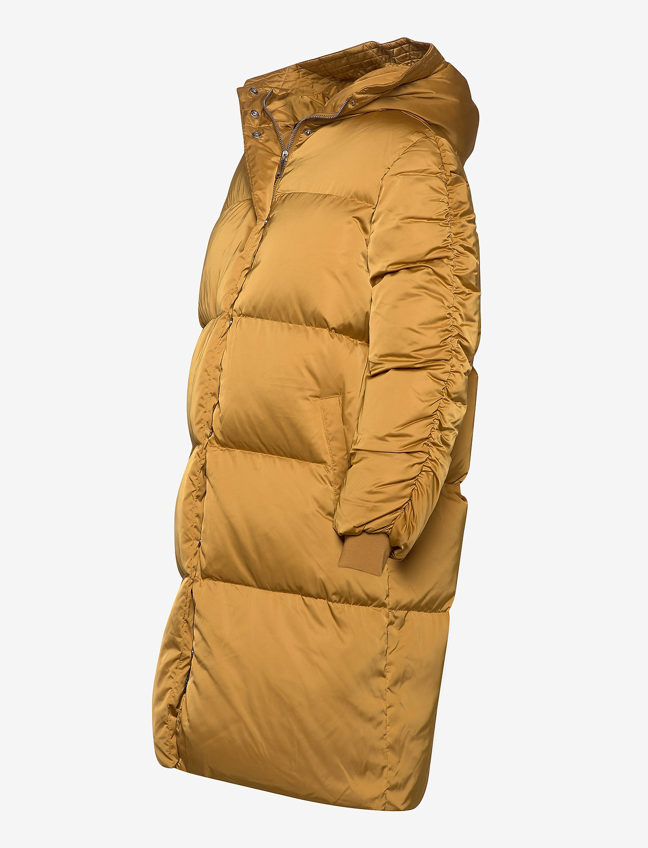 2NDDAY - 2ND Puff - wood thrush - 4