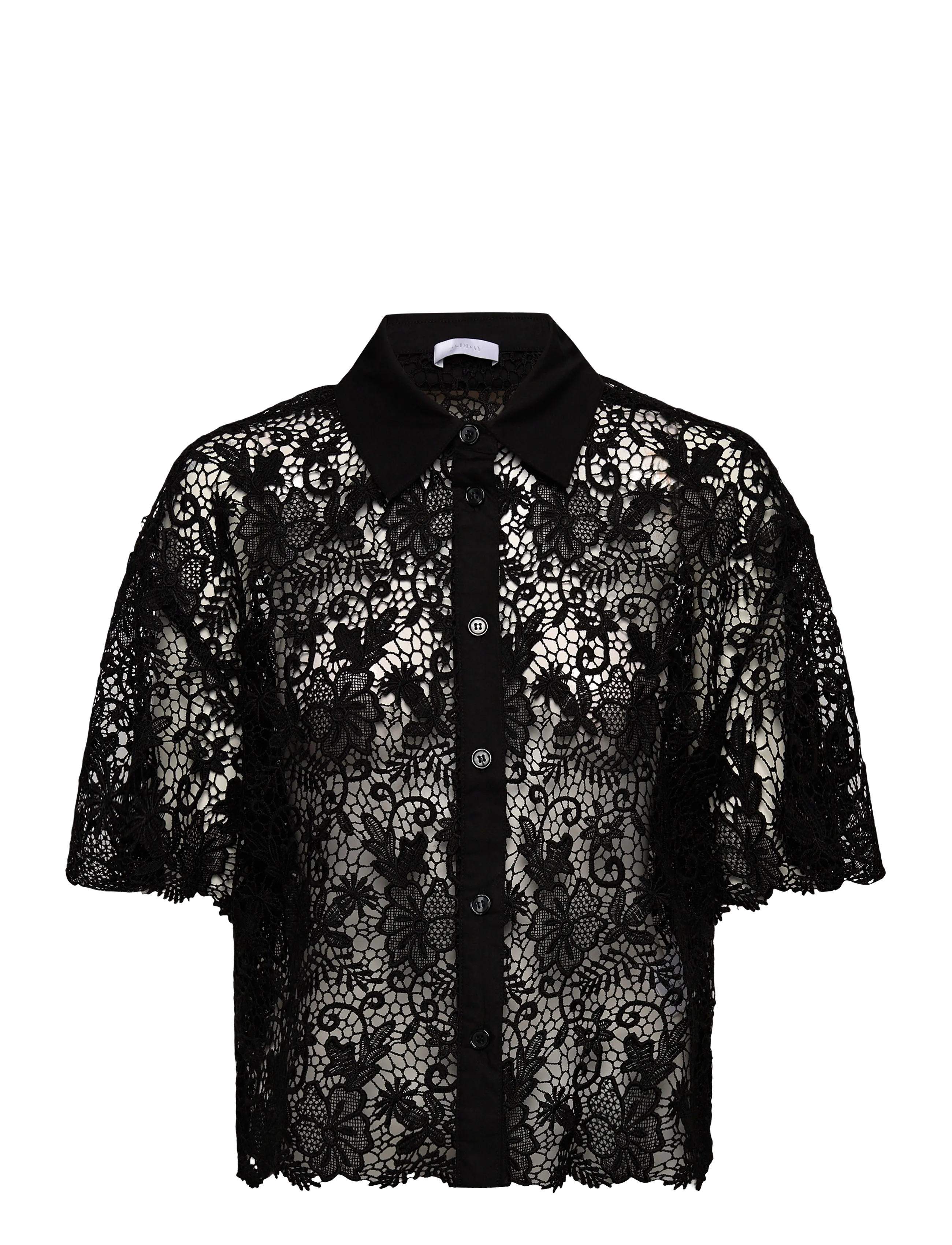 2ND Tabbi - Heavy Lace - BLACK