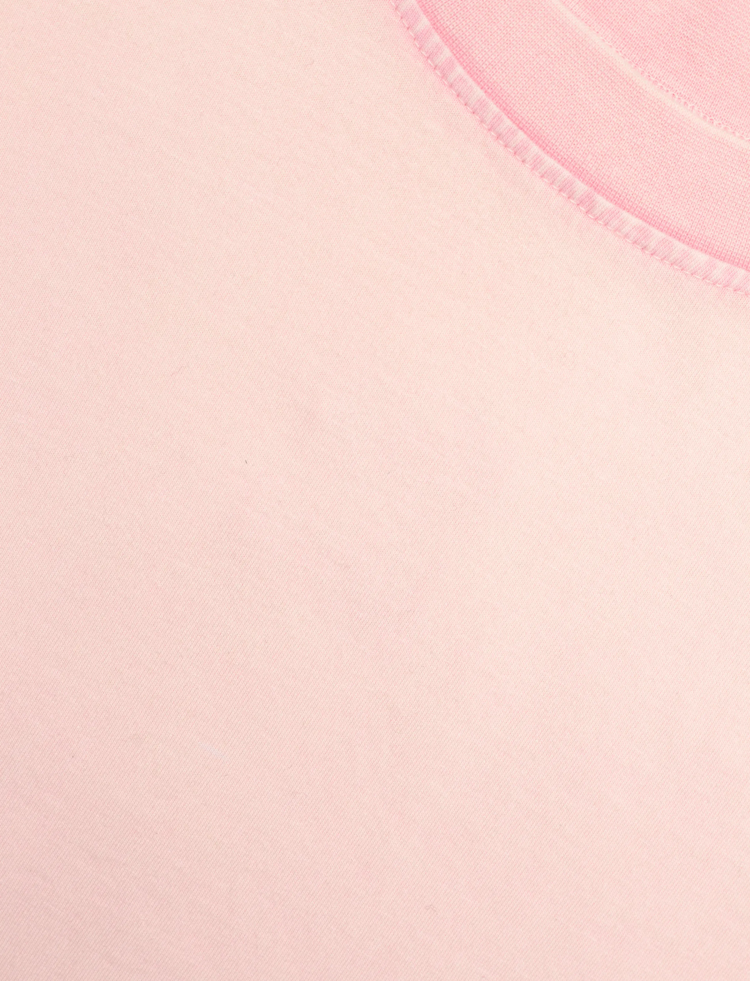 2NDDAY - 2ND Arale TT - Overwashed Jersey - t-shirts - cherry blossom - 5