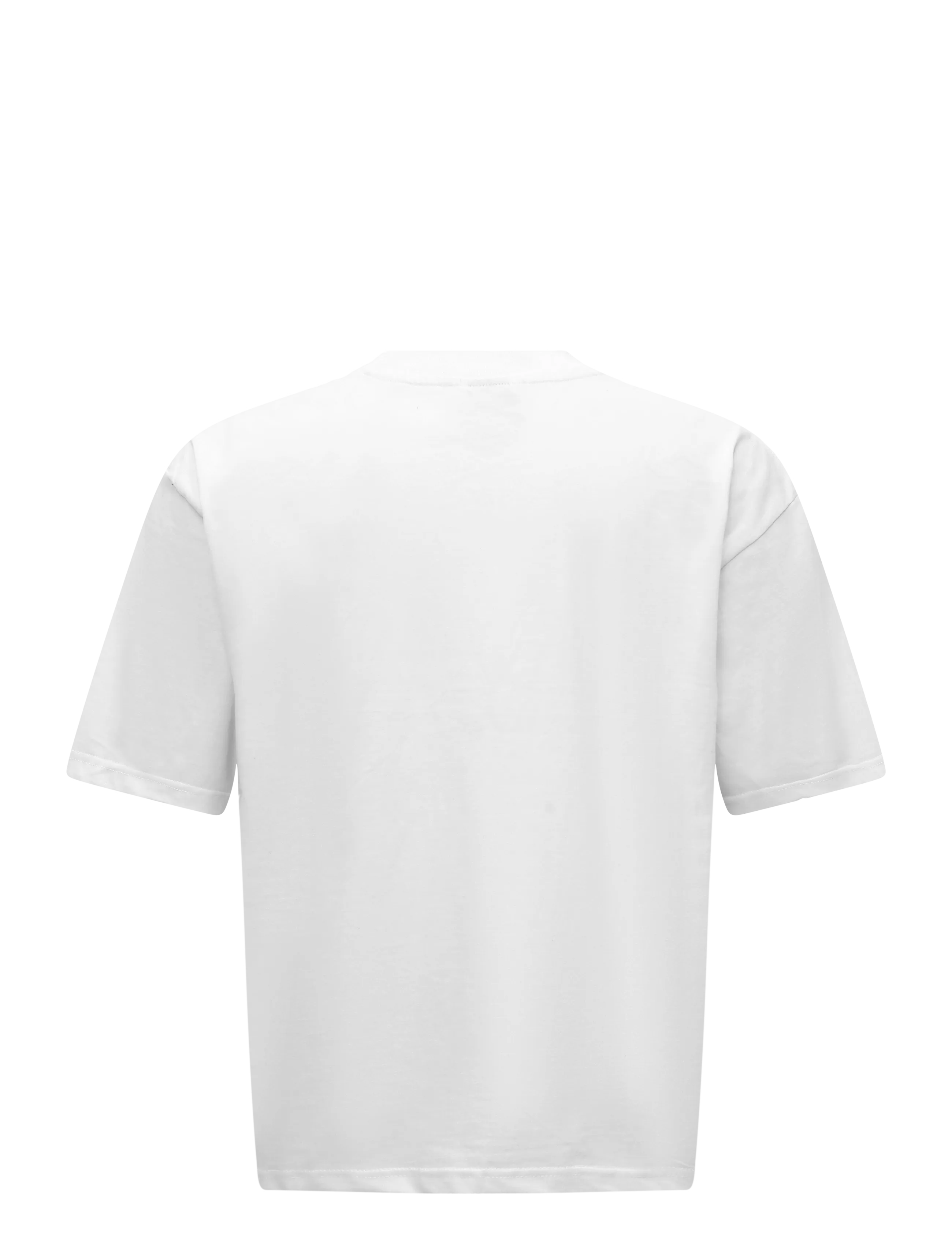 2NDDAY - 2NDArall - Midweight Jersey - t-shirts - brilliant white - 2