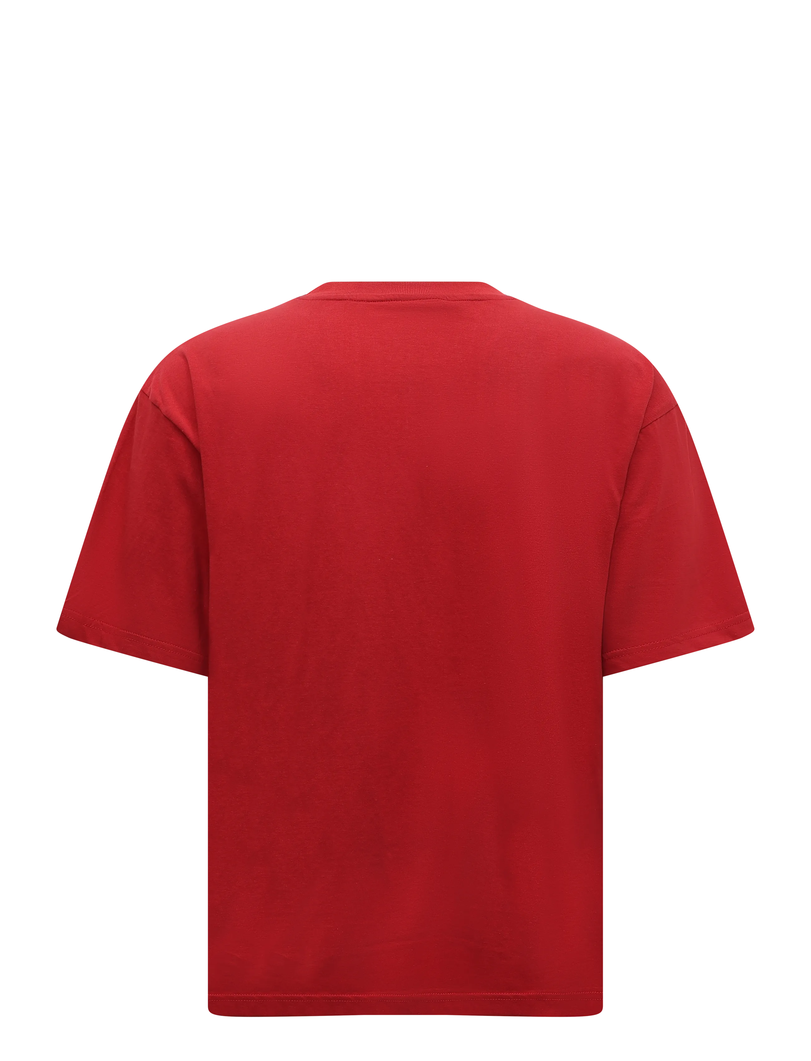 2NDDAY - 2NDArall - Midweight Jersey - t-shirts - samba - 2