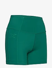 2XU - FORM HI-RISE COMP SHORTS - cycling shorts - forest green/forest green - 2