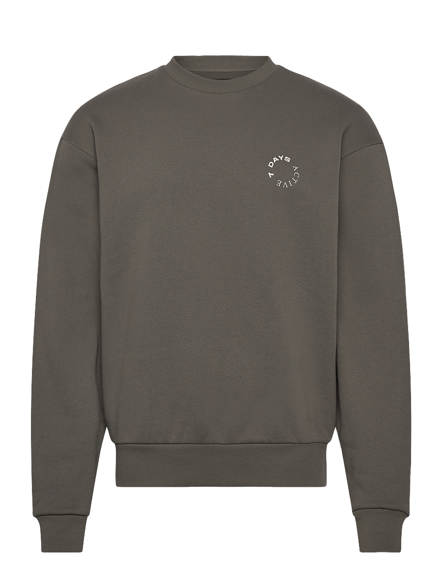 7 DAYS Active - Organic Crewneck - oberteile - 036 beluga grey - 0