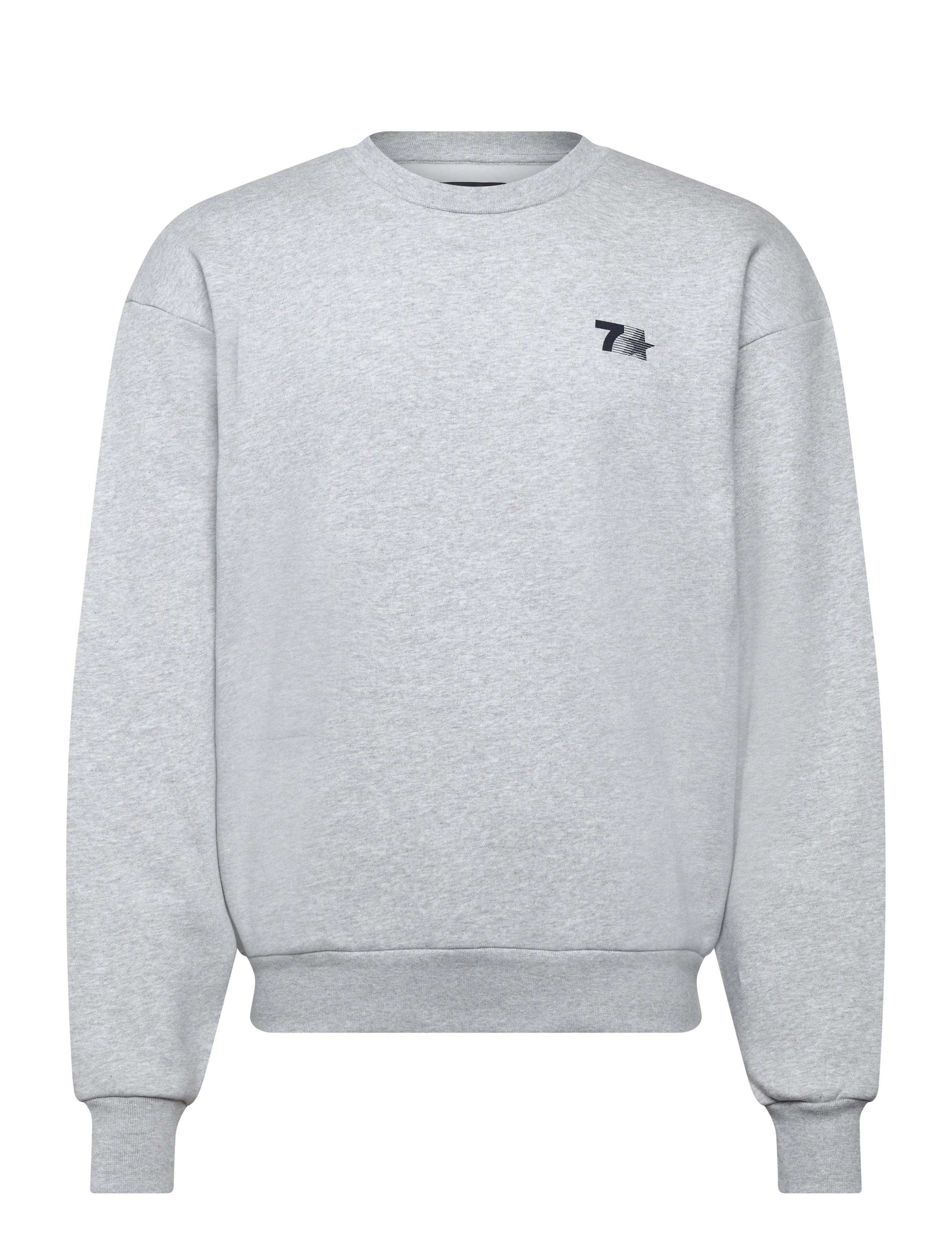 Organic Graphic Regular Crewneck