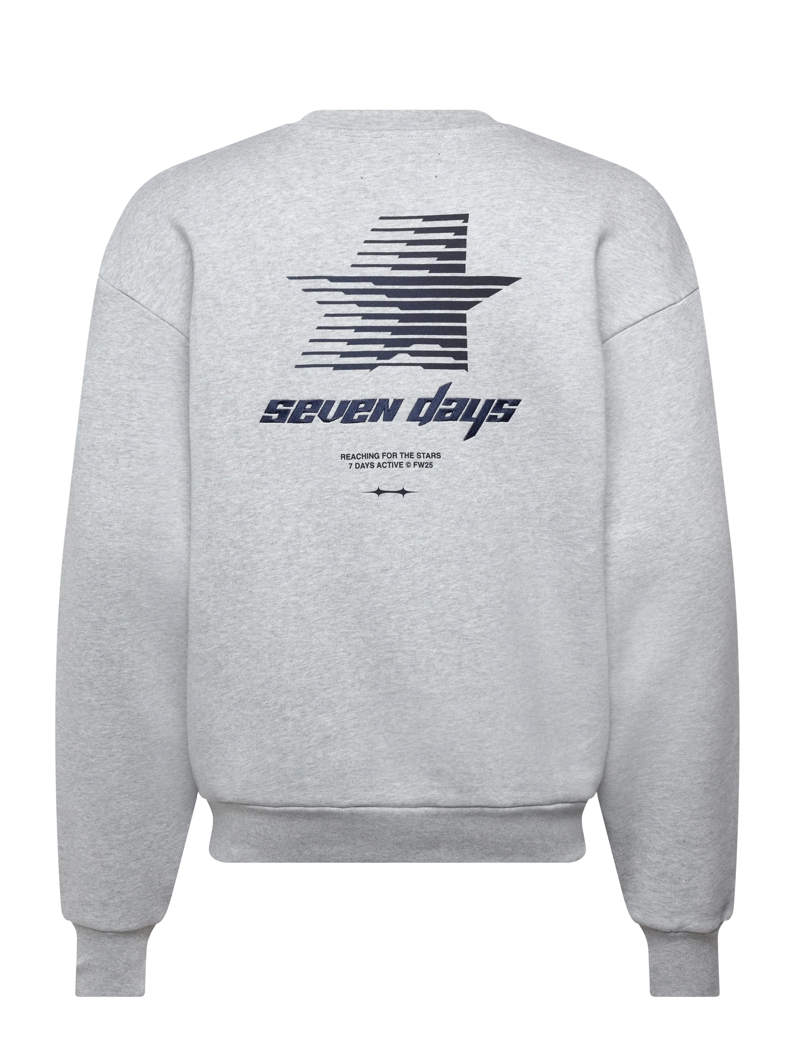 Organic Graphic Regular Crewneck 2