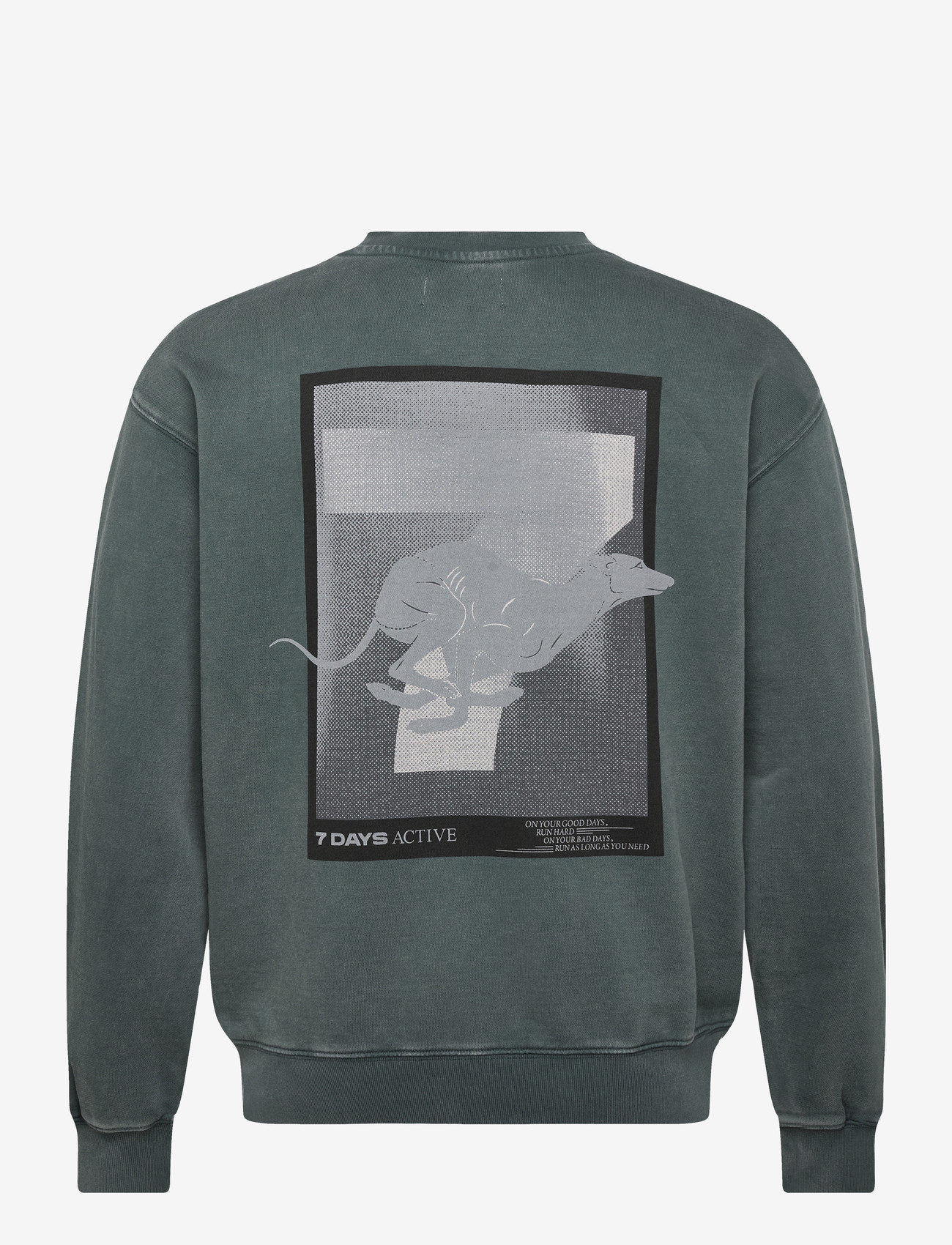 7 DAYS Active - Regular Crewneck - oberteile - 065 dusty green - 1