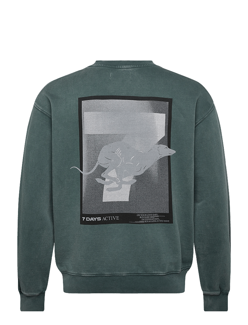 7 DAYS Active - Regular Crewneck - oberteile - 065 dusty green - 1
