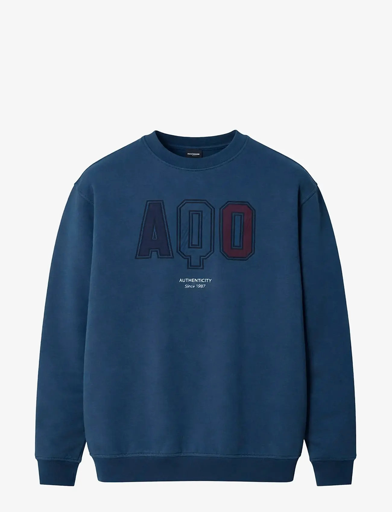 A QUESTION OF - Sweat App Emb - sweatshirts - sky captain - 1
