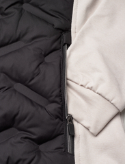Abacus - Lds Grove hybrid jacket - golftakit - black/stone - 3