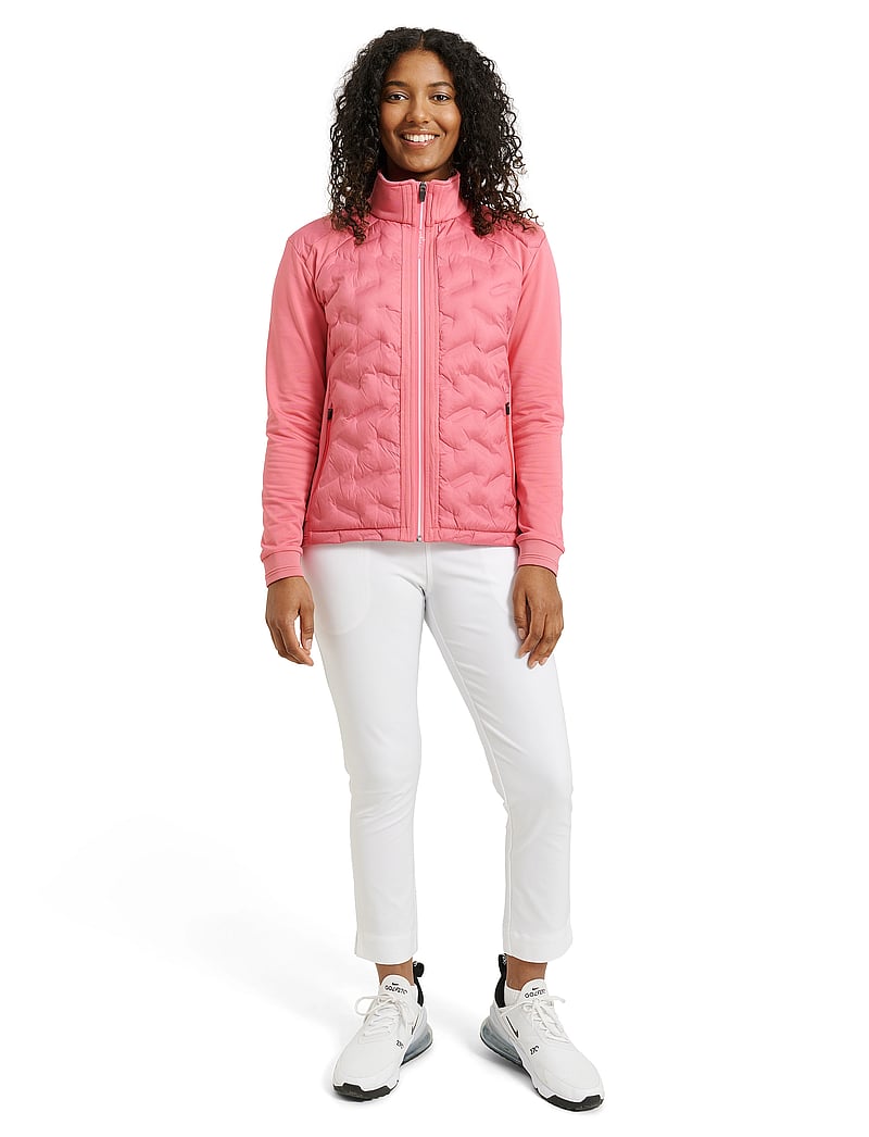 Abacus - Lds Portrush hybrid jacket - golf-jacken - lipstick - 3
