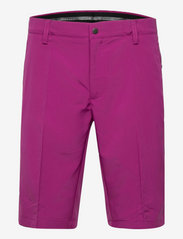 Abacus - Trenton shorts - golf shorts - grape - 0