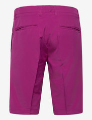 Abacus - Trenton shorts - golf shorts - grape - 1