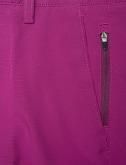 Abacus - Trenton shorts - golf shorts - grape - 5