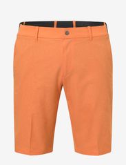 Abacus - Men Huntingdale shorts - golfshorts - mandarin - 1