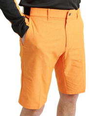 Abacus - Men Huntingdale shorts - golfshorts - mandarin - 3