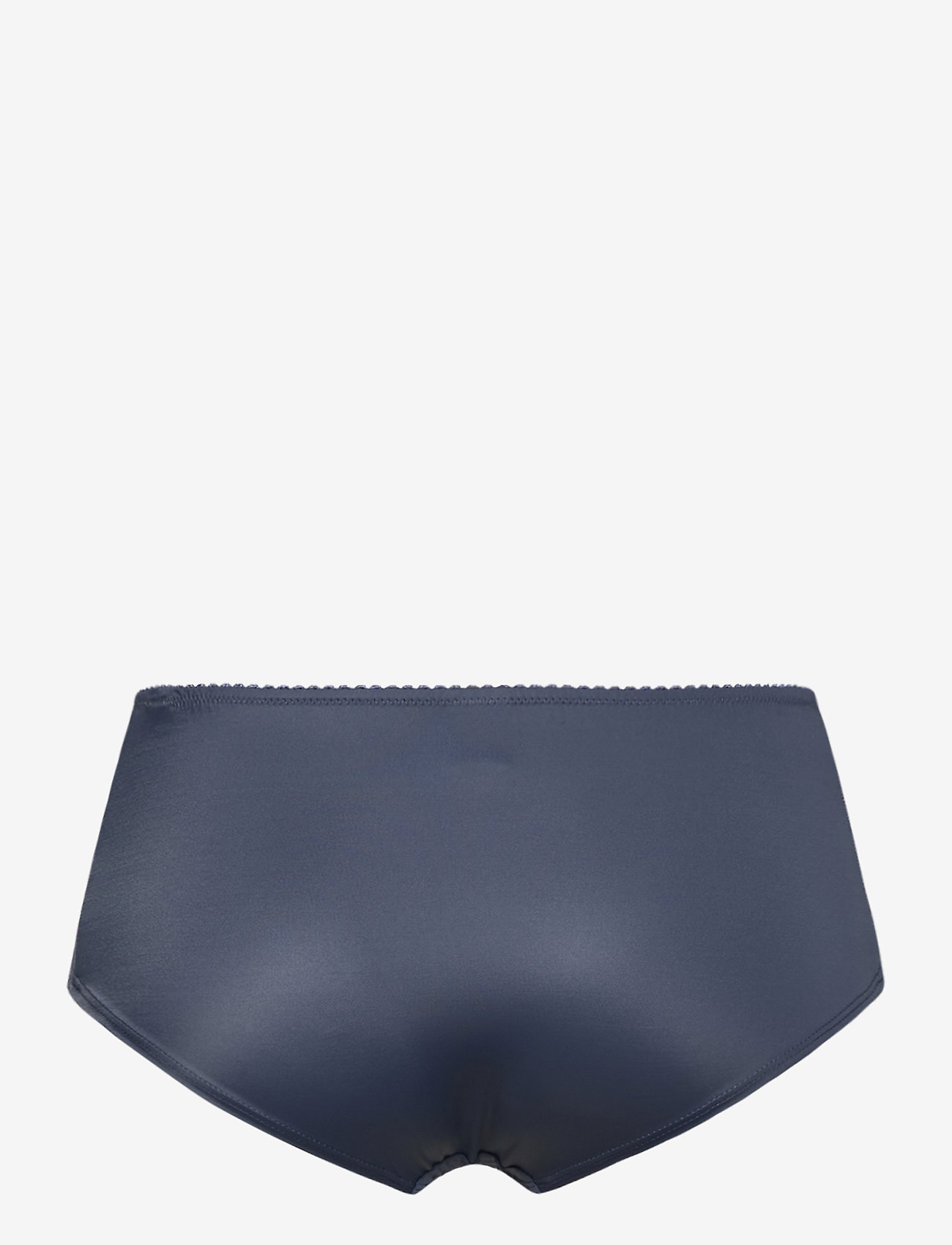 Abecita - SHEER LADIES BRIEFS - misty blue - 1