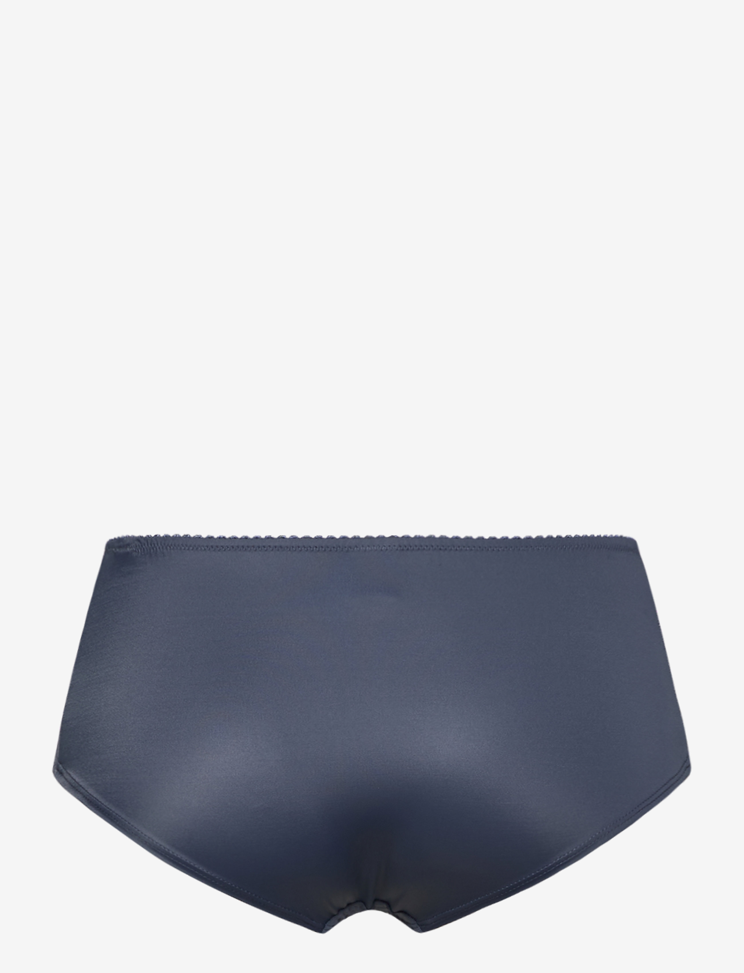 Abecita - SHEER LADIES BRIEFS - misty blue - 1