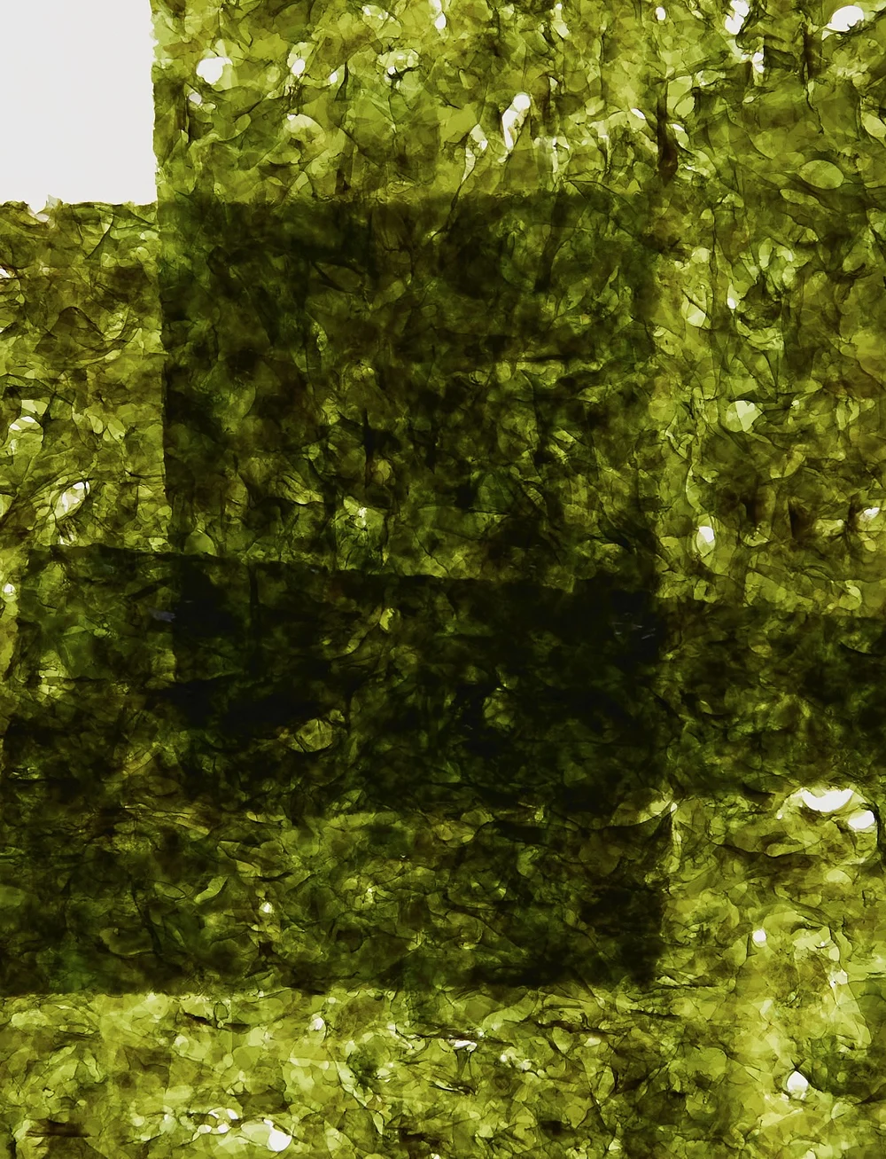 Abel - Cyan Nori Eau de Parfum - til ham - clear - 2