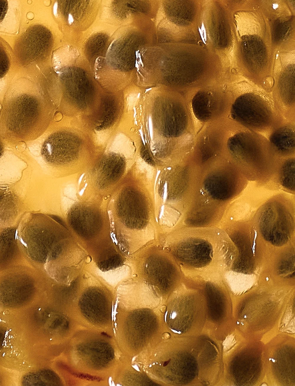 Abel - Laundry Day Eau de Parfum - till honom - clear - 2