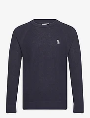 Abercrombie & Fitch - ANF MENS SWEATERS - rundhals - neat navy - 0