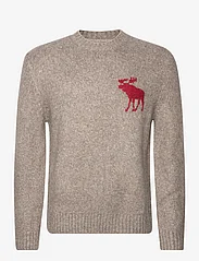 Abercrombie & Fitch - ANF MENS SWEATERS - strik med rund hals - tan - 0