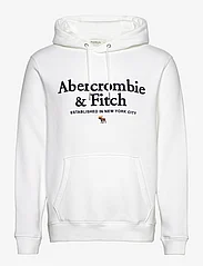 Abercrombie & Fitch - ANF MENS SWEATSHIRTS - bluzy z kapturem - white - 0