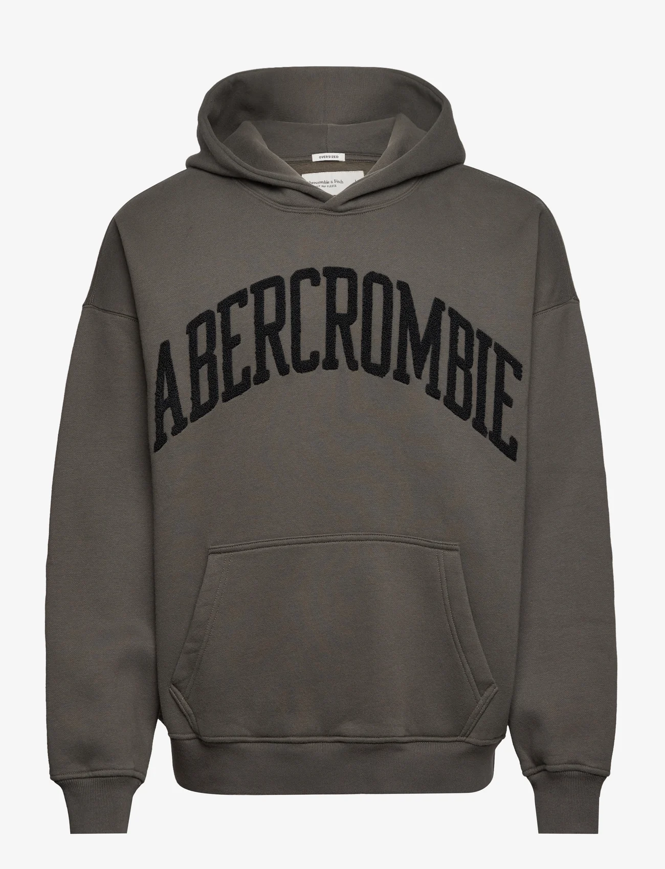 Abercrombie & Fitch - ANF MENS SWEATSHIRTS - hoodies - chimera - 0