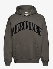 Abercrombie & Fitch - ANF MENS SWEATSHIRTS - džemperi ar kapuci - chimera - 0