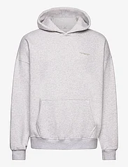 Abercrombie & Fitch - ANF MENS SWEATSHIRTS - džemperi ar kapuci - heather - 0