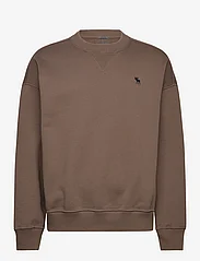 Abercrombie & Fitch - ANF MENS SWEATSHIRTS - sportiska stila džemperi - morel - 0