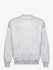 Abercrombie & Fitch - ANF MENS SWEATSHIRTS - swetry - brown - 0