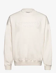 Abercrombie & Fitch - ANF MENS SWEATSHIRTS - swetry - jet stream - 0