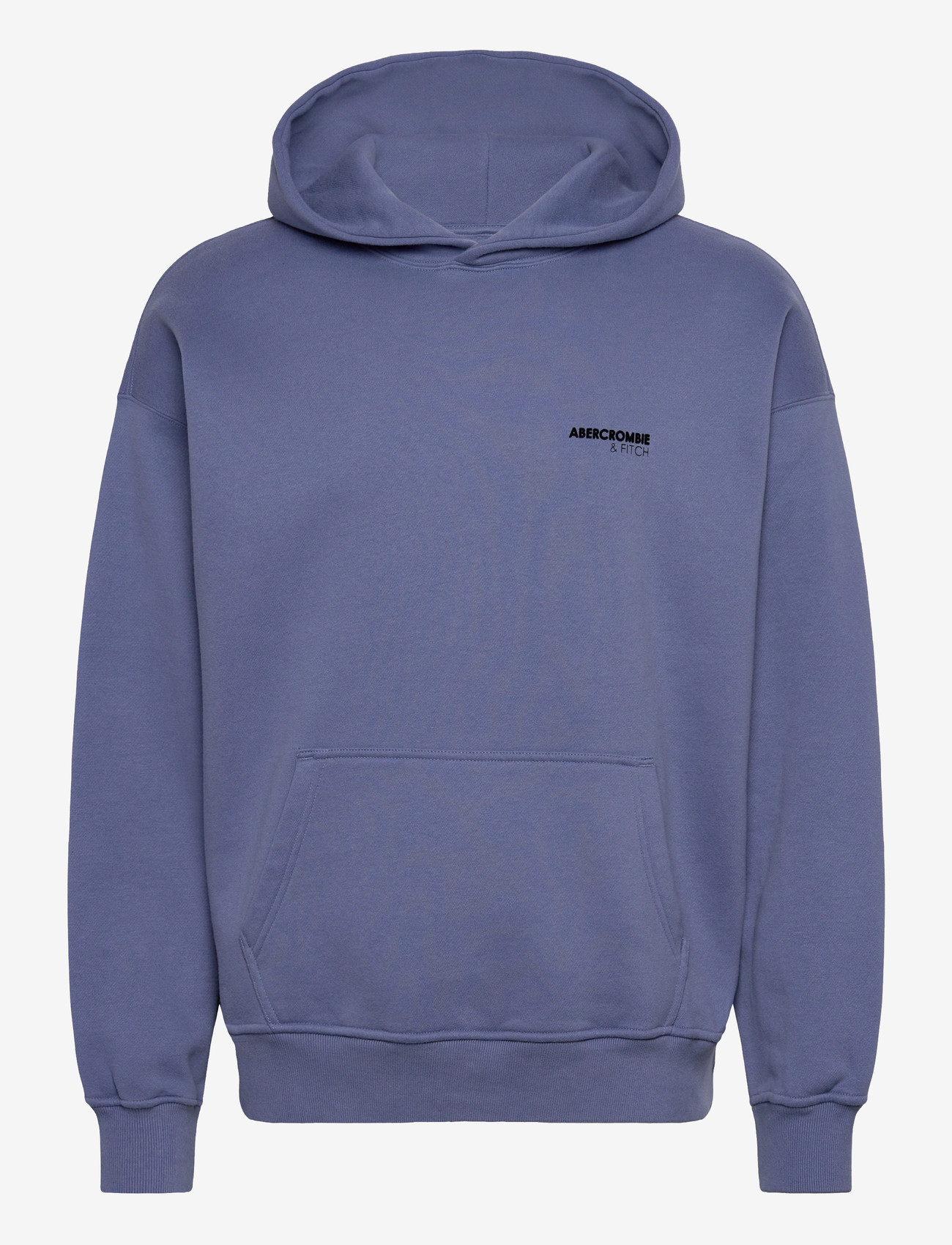 Abercrombie & Fitch - SMALL SCALE LOGO POPOVER - hættetrøjer - 200 - 0