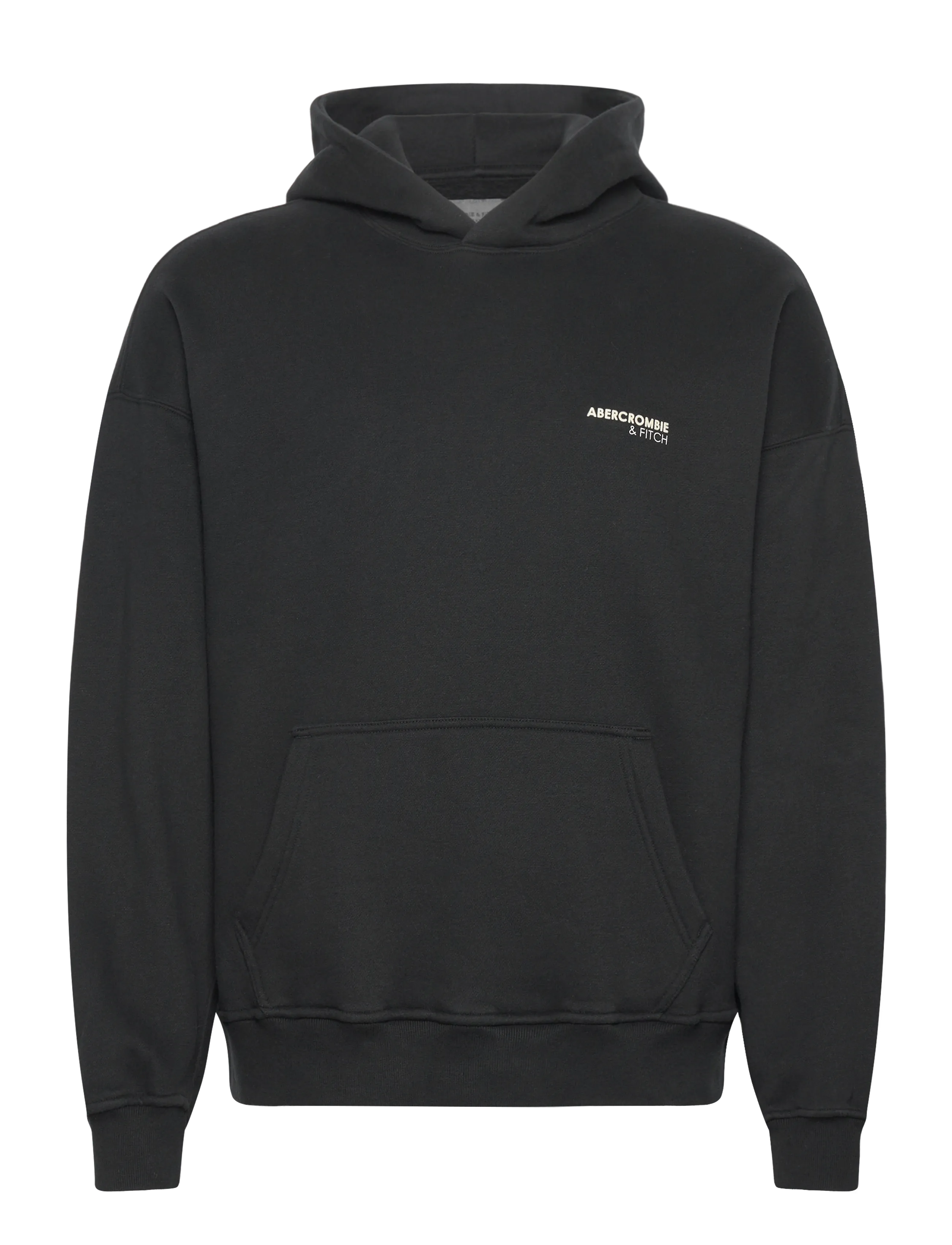 Abercrombie & Fitch SMALL SCALE LOGO POPOVER - Džemperiai - 900 / black