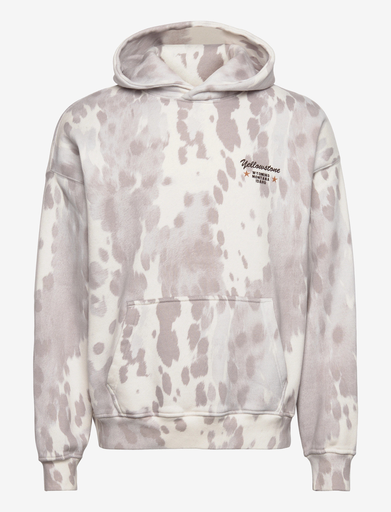 Abercrombie & Fitch - OCT4 WESTERN NLNL - hættetrøjer - 108 - 0