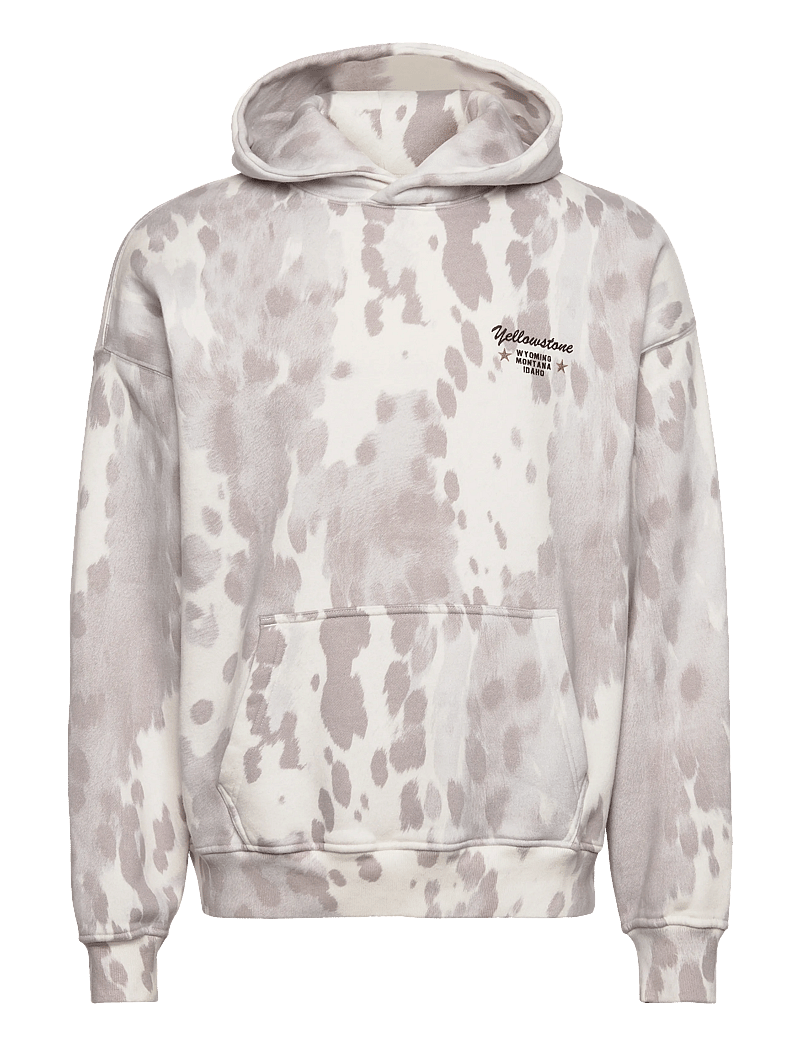 Abercrombie & Fitch - OCT4 WESTERN NLNL - hættetrøjer - 108 - 0