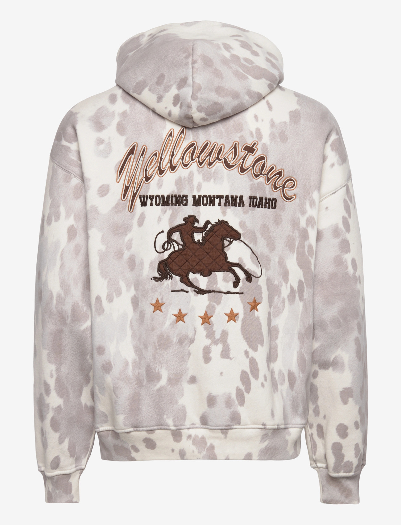 Abercrombie & Fitch - OCT4 WESTERN NLNL - hættetrøjer - 108 - 1