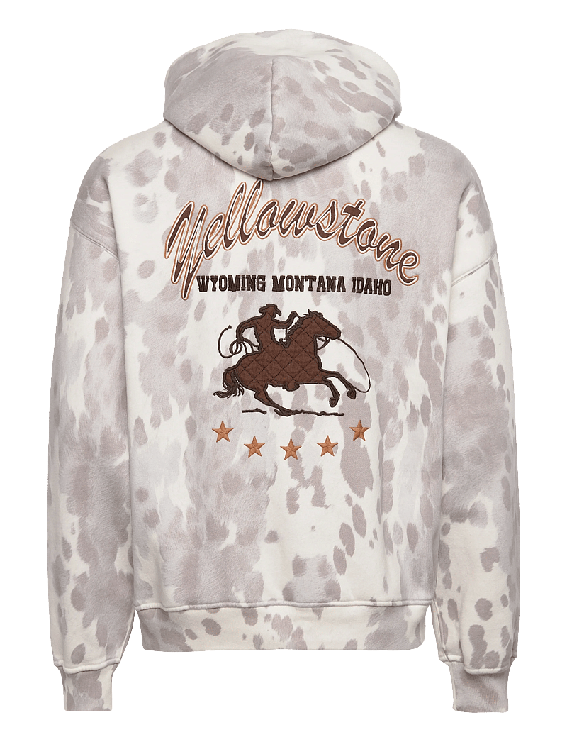 Abercrombie & Fitch - OCT4 WESTERN NLNL - hættetrøjer - 108 - 1