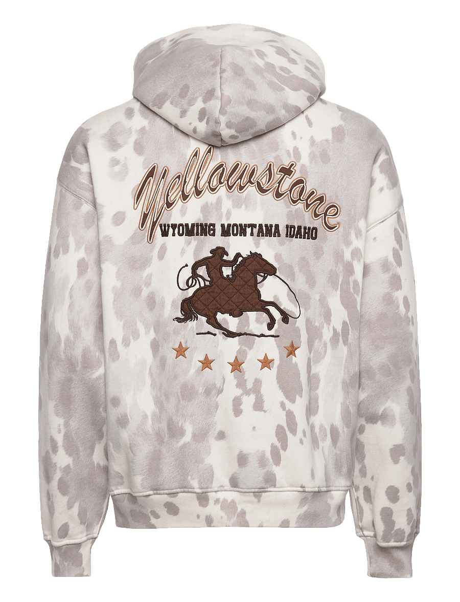 Abercrombie & Fitch - OCT4 WESTERN NLNL - kapuzenpullover - 108 - 1