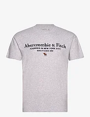 Abercrombie & Fitch - ANF MENS GRAPHICS - najniższe ceny - heather grey - 0