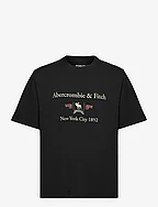 ANF MENS GRAPHICS - CASUAL BLACK