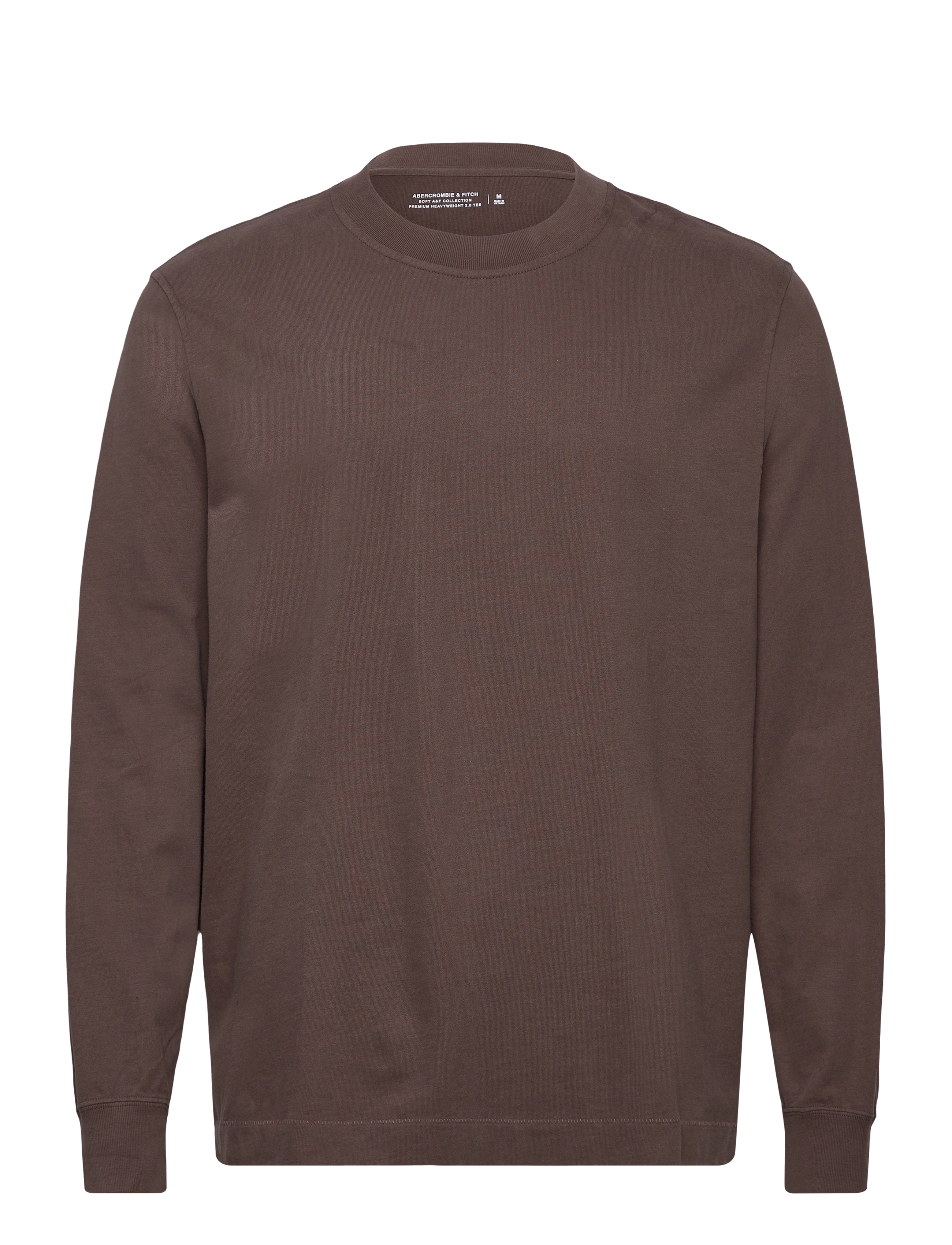 Abercrombie & Fitch LONG SLEEVE PREMIUM HEAVY WEIGHT TEE - Kleidung - 400 / brown